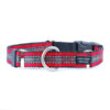 2 Hounds Design Nylon Buckle-Martingale Combo Dog Collar - Image 2