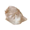 Bones & Co Freeze-Dried Raw Bar Items for Dogs