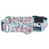 2 Hounds Design Nylon Buckle-Martingale Combo Dog Collar