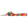 2 Hounds Design Nylon Dog Leash - Image 2