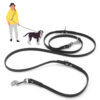 Jelly Pet Multi-Purpose Dog Leash - Image 4