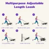 Jelly Pet Multi-Purpose Dog Leash - Image 3