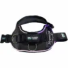 Joyride Harness - NightSafe LED Light Up Joyride Dog Harness 2.0 - Image 2