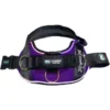Joyride Harness - NightSafe LED Light Up Joyride Dog Harness 2.0 - Image 3